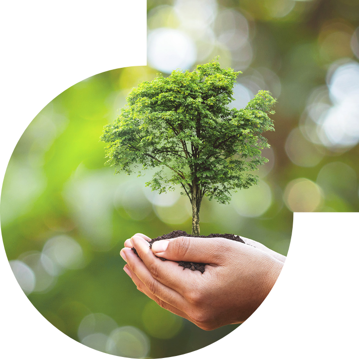 關懷人類、文化、環境與社會